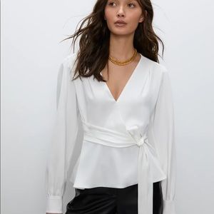 Aritzia Babaton Bello Blouse